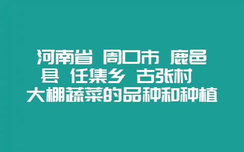 河南省 周口市 鹿邑县 任集乡 古张村 大棚蔬菜的品种和种植面积插图 河南省 周口市 鹿邑县 任集乡 古张村 大棚蔬菜的品种和种植面积插图