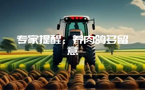 专家提醒:养肉鸽多留意插图 专家提醒:养肉鸽多留意插图