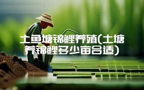 土鱼塘锦鲤养殖(土塘养锦鲤多少亩合适)插图 土鱼塘锦鲤养殖(土塘养锦鲤多少亩合适)插图
