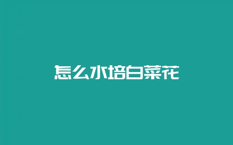 怎么水培白菜花插图 怎么水培白菜花插图