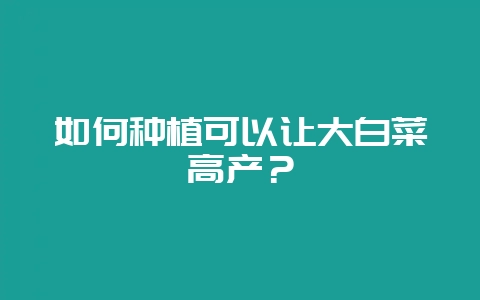 如何种植可以让大白菜高产？-会东网