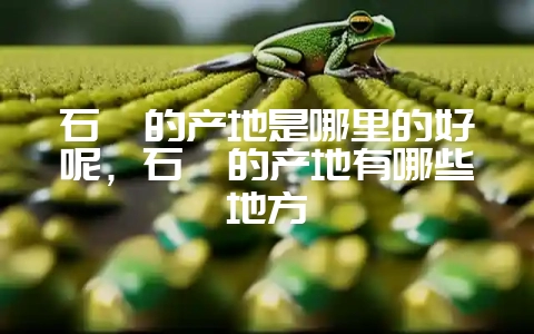 石斛的产地是哪里的好呢，石斛的产地有哪些地方-会东网