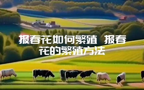 报春花如何繁殖 报春花的繁殖方法-会东网