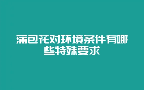蒲包花对环境条件有哪些特殊要求-会东网