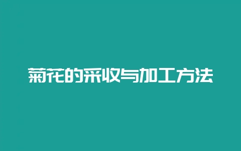 菊花的采收与加工方法-会东网