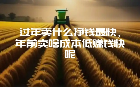 过年卖什么挣钱最快，年前卖啥成本低赚钱快呢-会东网