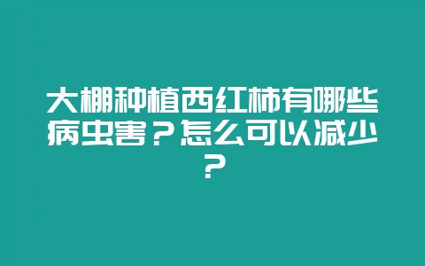 大棚种植西红柿有哪些病虫害？怎么可以减少？-会东网
