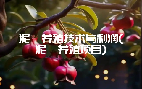 泥鳅养殖技术与利润(泥鳅养殖项目)插图 泥鳅养殖技术与利润(泥鳅养殖项目)插图