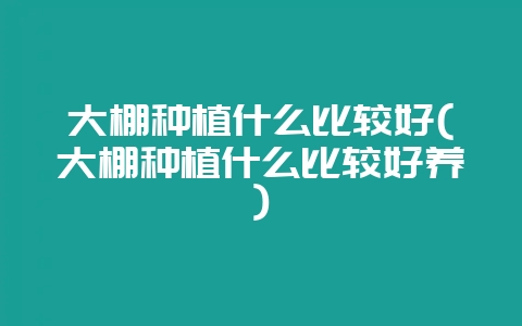 大棚种植什么比较好(大棚种植什么比较好养)-会东网