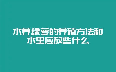 水养绿萝的养殖方法和水里应放些什么插图 水养绿萝的养殖方法和水里应放些什么插图