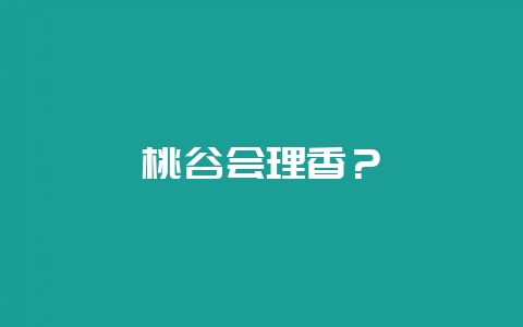 桃谷会理香？-会东网
