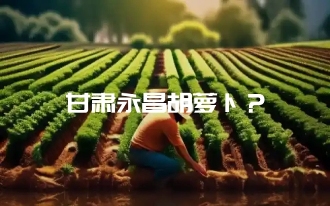 甘肃永昌胡萝卜？-会东网