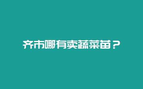 齐市哪有卖蔬菜苗？-会东网