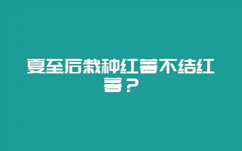 夏至后栽种红薯不结红薯？-会东网