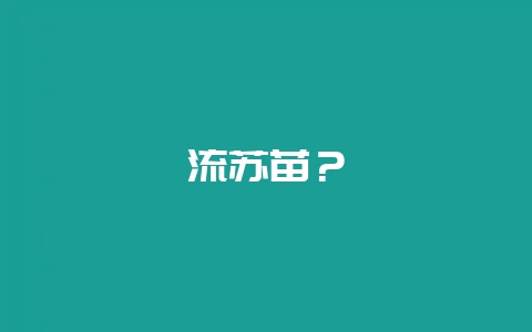 流苏苗？-会东网