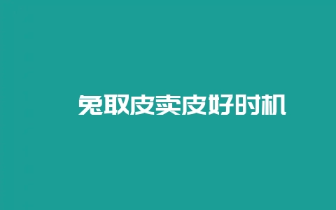 獭兔取皮卖皮好时机-会东网
