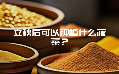 立秋后可以种植什么蔬菜？-会东网