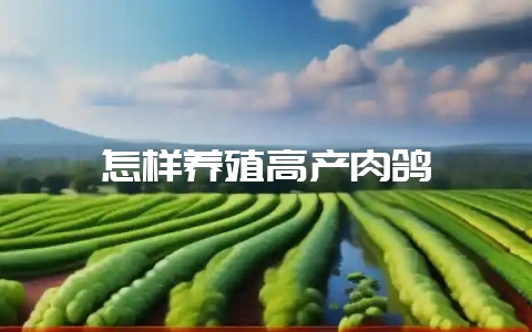 怎样养殖高产肉鸽-会东网