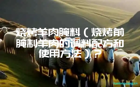 烧烤羊肉腌料（烧烤前腌制羊肉的调料配方和使用方法）？-会东网