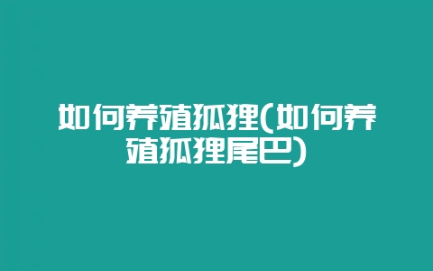 如何养殖狐狸(如何养殖狐狸尾巴)-会东网