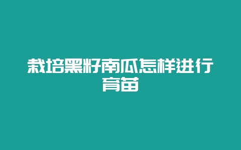 栽培黑籽南瓜怎样进行育苗-会东网