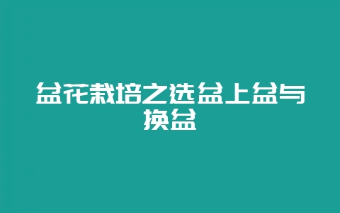 盆花栽培之选盆上盆与换盆-会东网