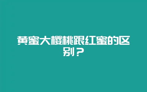 黄蜜大樱桃跟红蜜的区别?插图 黄蜜大樱桃跟红蜜的区别?插图