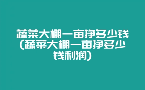 蔬菜大棚一亩挣多少钱(蔬菜大棚一亩挣多少钱利润)-会东网