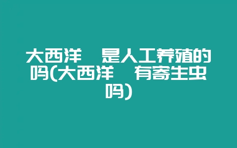 大西洋鲑是人工养殖的吗(大西洋鲑有寄生虫吗)-会东网