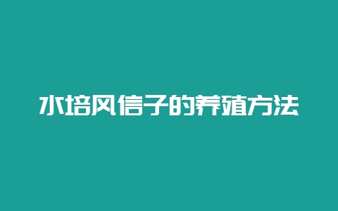 水培风信子的养殖方法-会东网