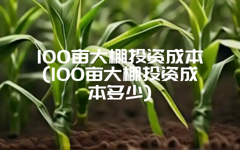 100亩大棚投资成本(100亩大棚投资成本多少)-会东网