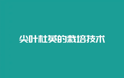尖叶杜英的栽培技术-会东网
