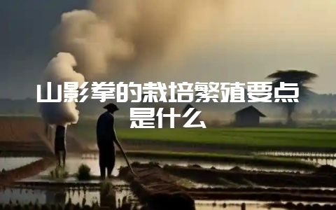山影拳的栽培繁殖要点是什么-会东网