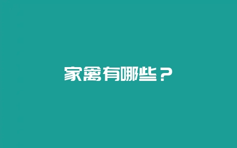 家禽有哪些?插图 家禽有哪些?插图