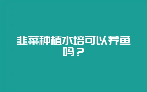 韭菜种植水培可以养鱼吗？-会东网