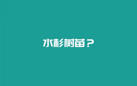 水杉树苗?插图 水杉树苗?插图