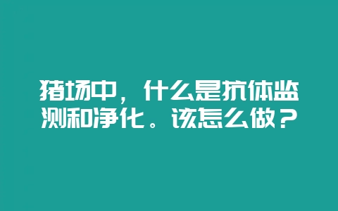猪场中，什么是抗体监测和净化。该怎么做？-会东网