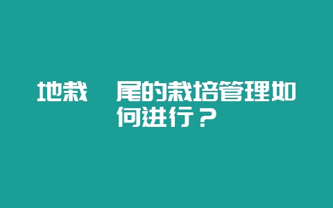 地栽鸢尾的栽培管理如何进行？-会东网