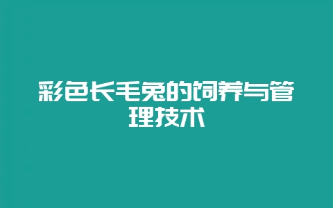 彩色长毛兔的饲养与管理技术-会东网