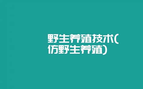 鹌鹑野生养殖技术(鹌鹑仿野生养殖)-会东网