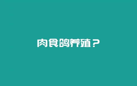 肉食鸽养殖?插图 肉食鸽养殖?插图