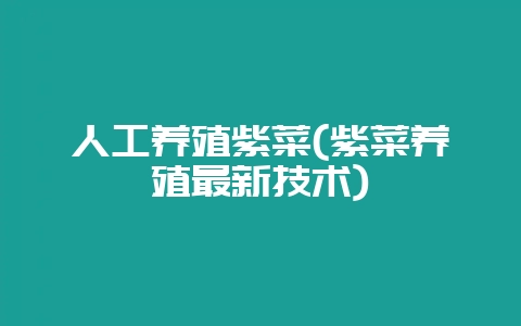人工养殖紫菜(紫菜养殖最新技术)插图 人工养殖紫菜(紫菜养殖最新技术)插图
