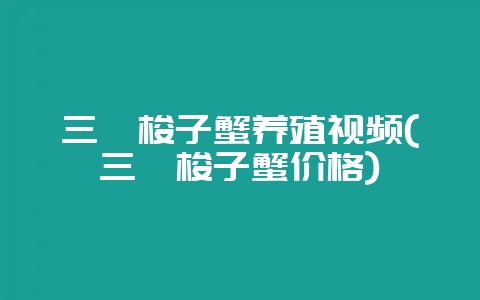 三疣梭子蟹养殖视频(三疣梭子蟹价格)插图 三疣梭子蟹养殖视频(三疣梭子蟹价格)插图