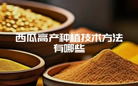西瓜高产种植技术方法有哪些-会东网