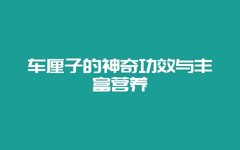 车厘子的神奇功效与丰富营养-会东网