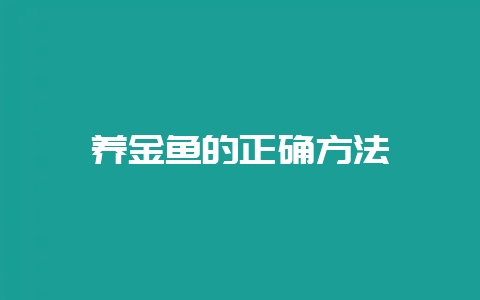 养金鱼的正确方法插图 养金鱼的正确方法插图