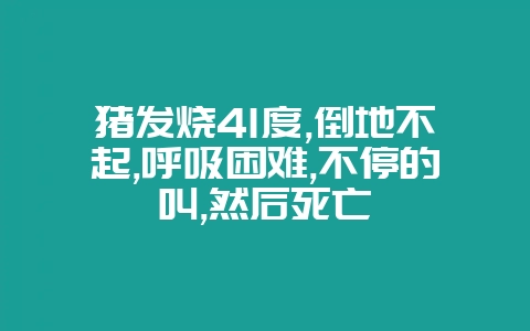 猪发烧41度,倒地不起,呼吸困难,不停的叫,然后死亡插图 猪发烧41度,倒地不起,呼吸困难,不停的叫,然后死亡插图
