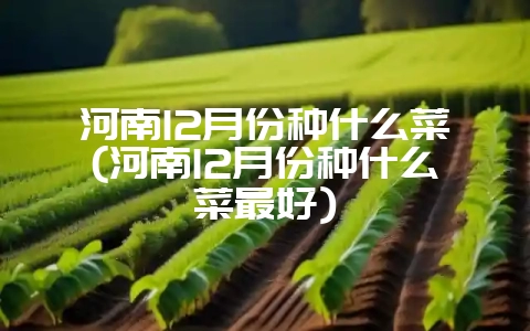 河南12月份种什么菜(河南12月份种什么菜最好)-会东网