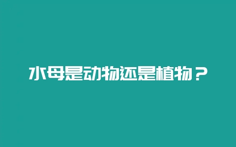 水母是动物还是植物？-会东网