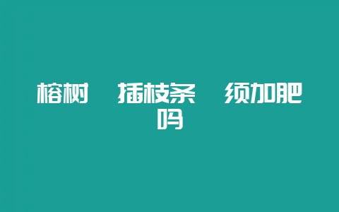榕树扦插枝条吋须加肥吗-会东网